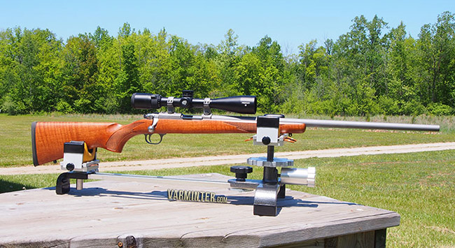 The Best Scopes for 17 WSM in 2022