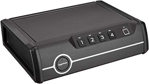 Mounted Firearm Safety Device