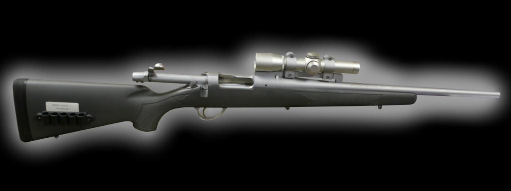 scount rifle 1 low res