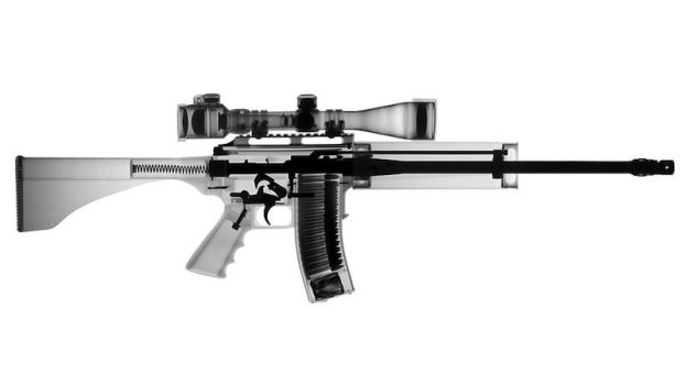 Armalite (NOT Assault) Rifle 15 and the Second Amendment