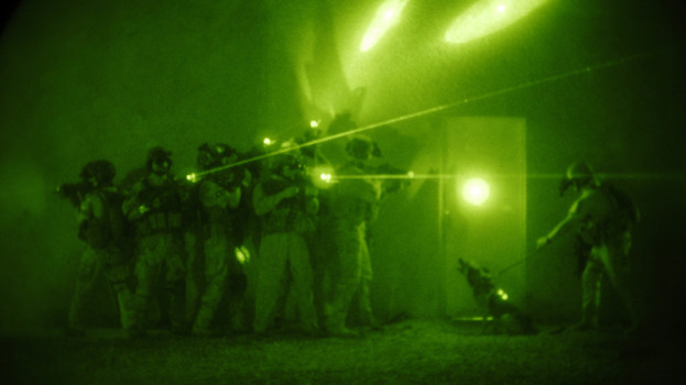 US Special Forces: Green Berets